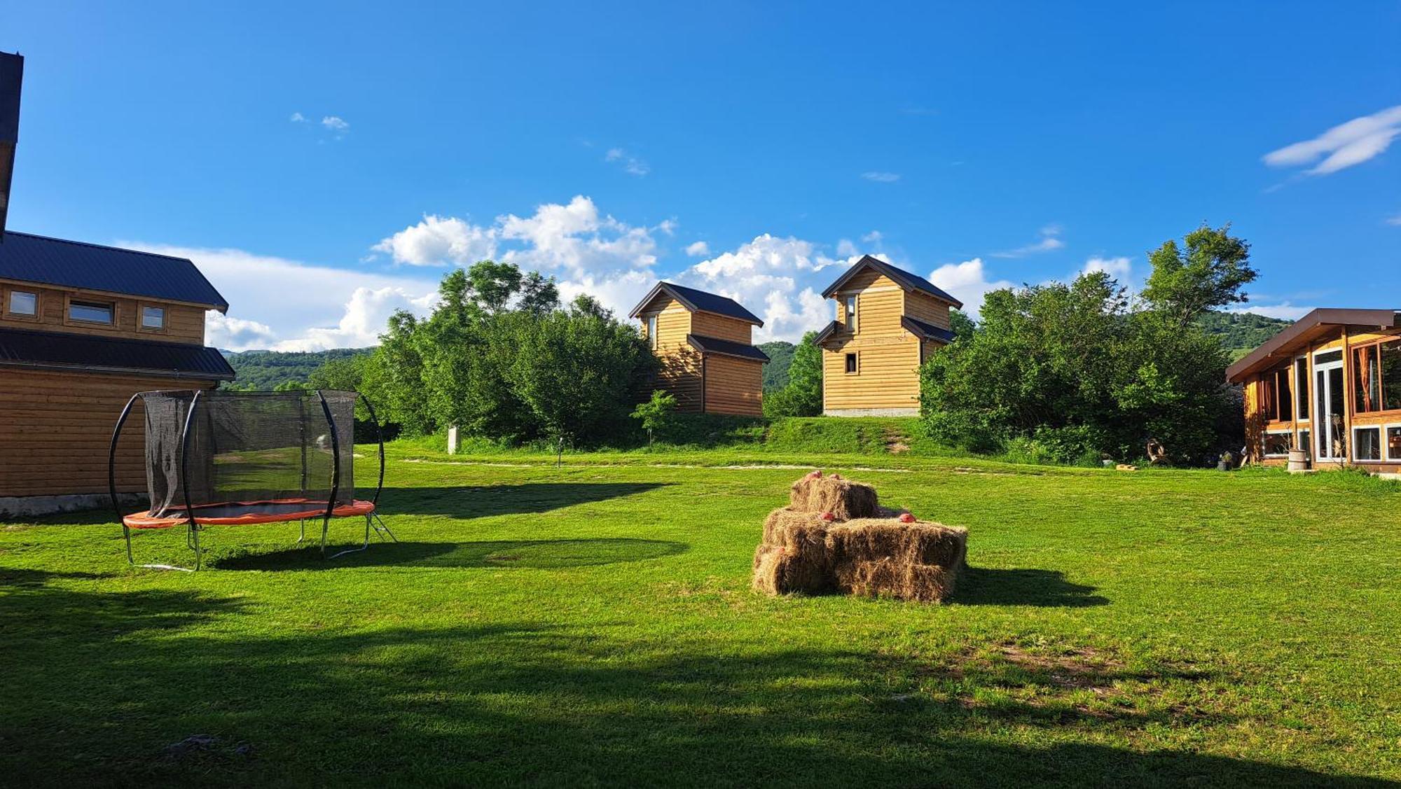 Eco Eagle's Nest Savnik