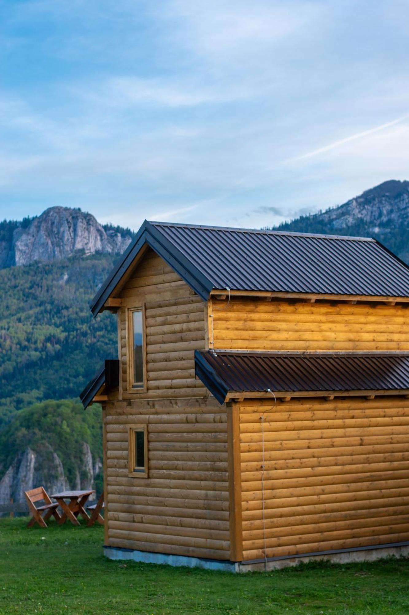 Eco Eagle's Nest