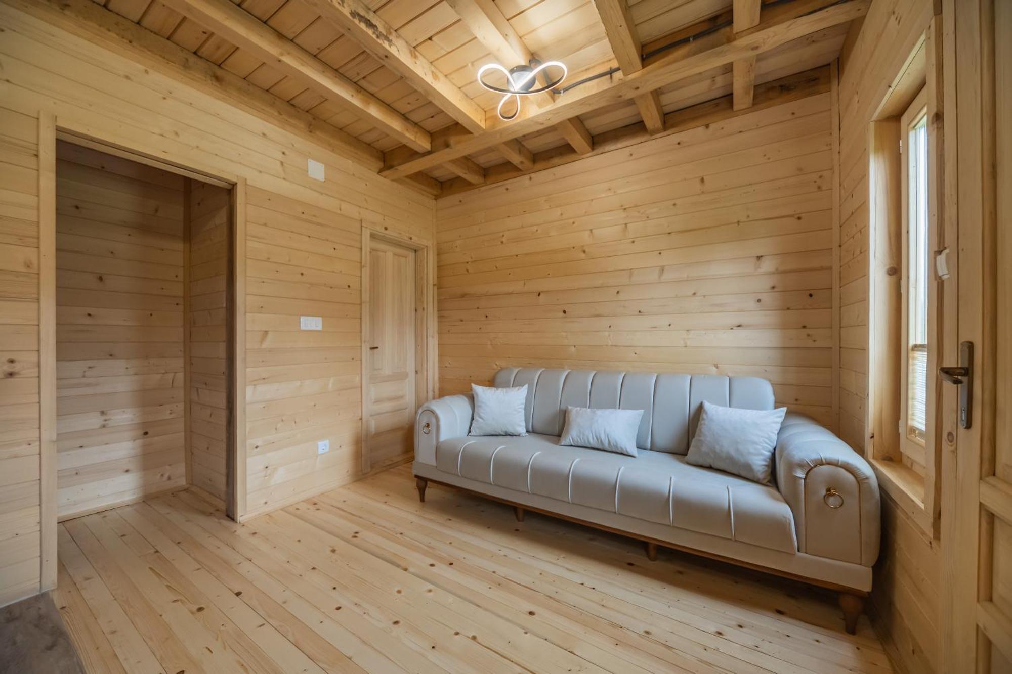 Eco Eagle's Nest